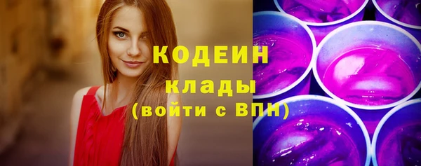 мдпв Ладушкин