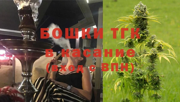 мдпв Ладушкин