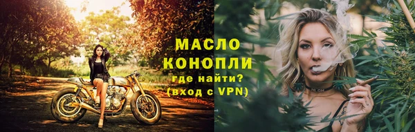 мдпв Ладушкин