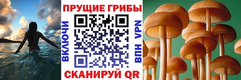 Псилоцибиновые грибы мухоморы  Купить закладки  Мосальск 